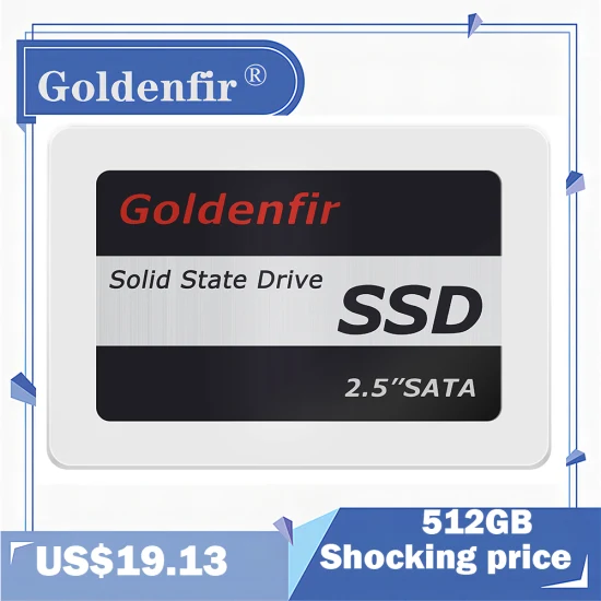 Goldenfir SSD256GB puce originale disque SSD haute vitesse 256GB prix le plus bas